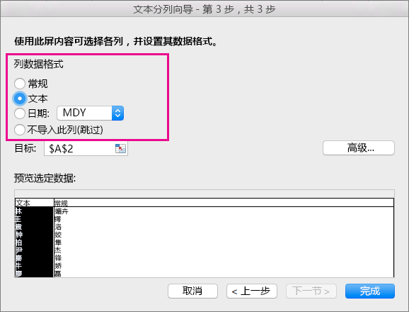 向?qū)е械牟襟E 3，已選中了“文本選項”