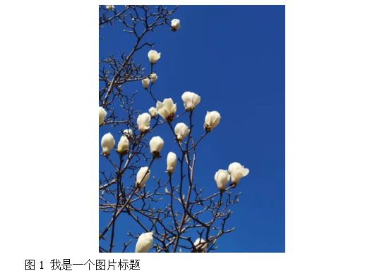 word編號后面的空格距離如何設置_編號后面空格太長_文檔中編號后空格過大