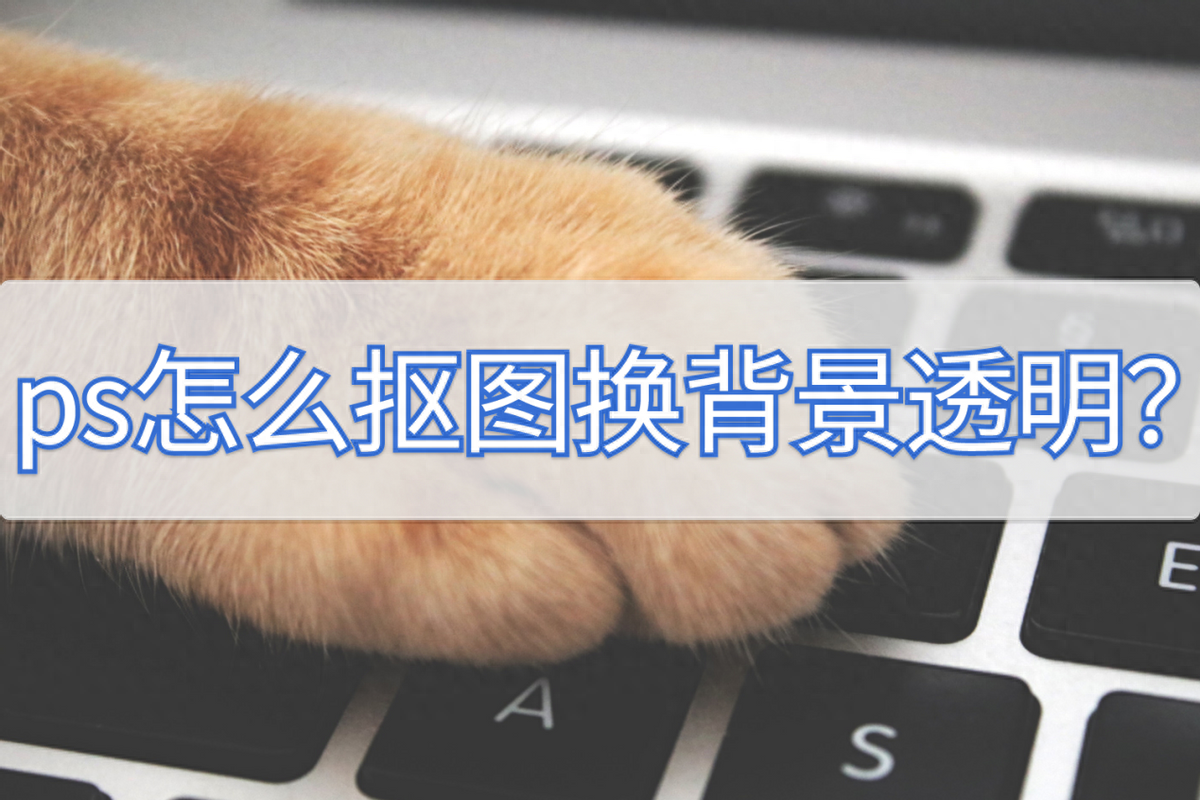ps怎么摳圖換背景透明？好用的方法分享給你