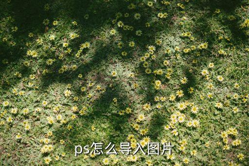 ps怎么導入圖片