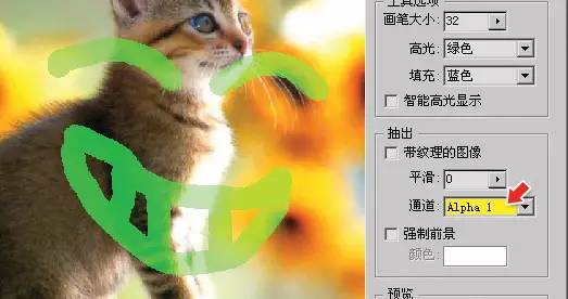 ps鋼筆工具怎么填充顏色_ps鋼筆工具畫圖填充顏色_ps鋼筆工具填充顏色