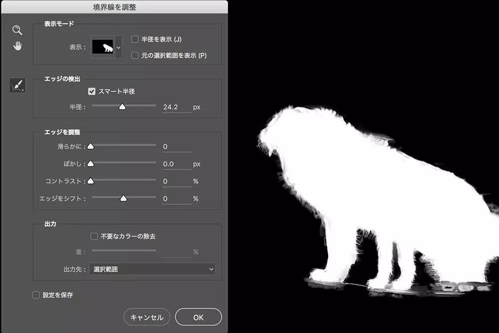 ps調(diào)整邊緣在哪里_邊緣調(diào)整畫筆工具在哪兒_邊緣調(diào)整快捷鍵