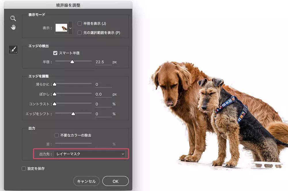 邊緣調(diào)整畫筆工具在哪兒_邊緣調(diào)整快捷鍵_ps調(diào)整邊緣在哪里