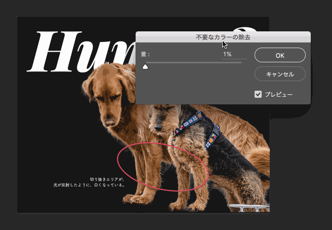 邊緣調(diào)整畫筆工具在哪兒_邊緣調(diào)整快捷鍵_ps調(diào)整邊緣在哪里