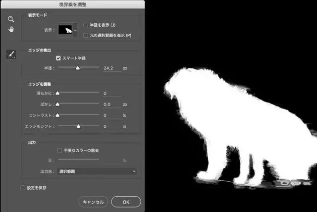 邊緣調整工具在哪_ps調整邊緣在哪里_邊緣調整快捷鍵