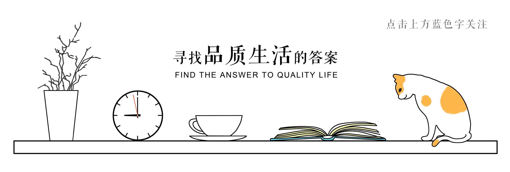 我的獨一無二——自由圖形的利用