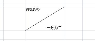 wpsexcel表格斜線一分為二怎么弄 wpsexcel表格斜線一分為二怎么打字