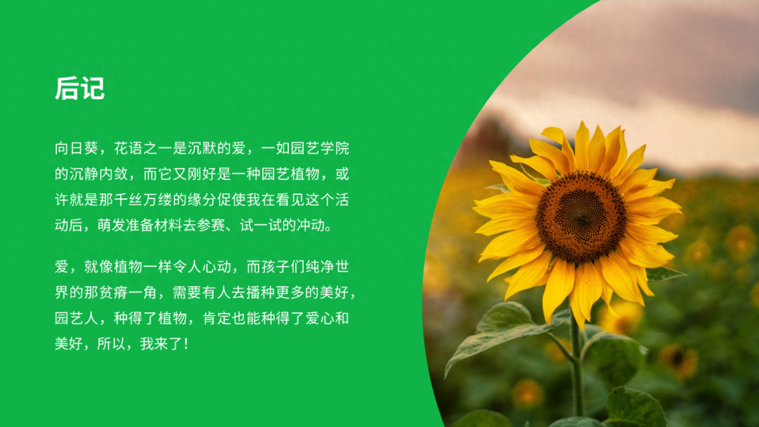 文字環繞ppt_ppt怎么設置文字環繞圖片_如何設置文字環繞圖片ppt
