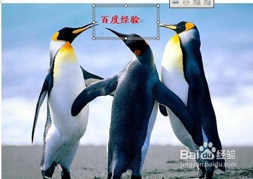 word2010中如何給圖片加水印
