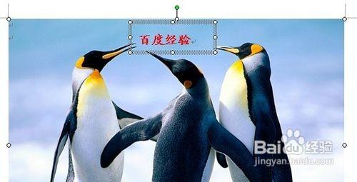 word2010中如何給圖片加水印