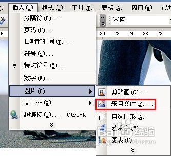 word2010中如何給圖片加水印