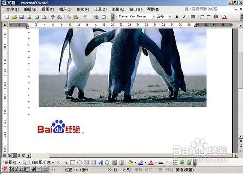 word2010中如何給圖片加水印