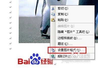 word2010中如何給圖片加水印