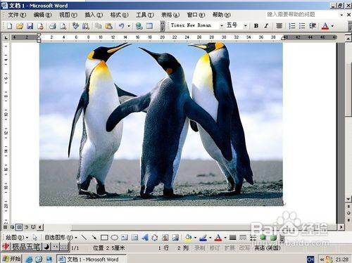 word2010中如何給圖片加水印