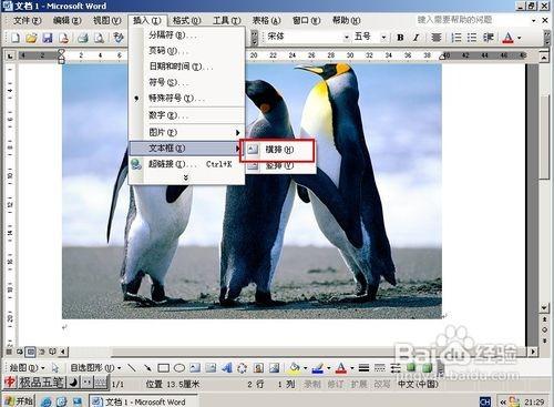 word2010中如何給圖片加水印