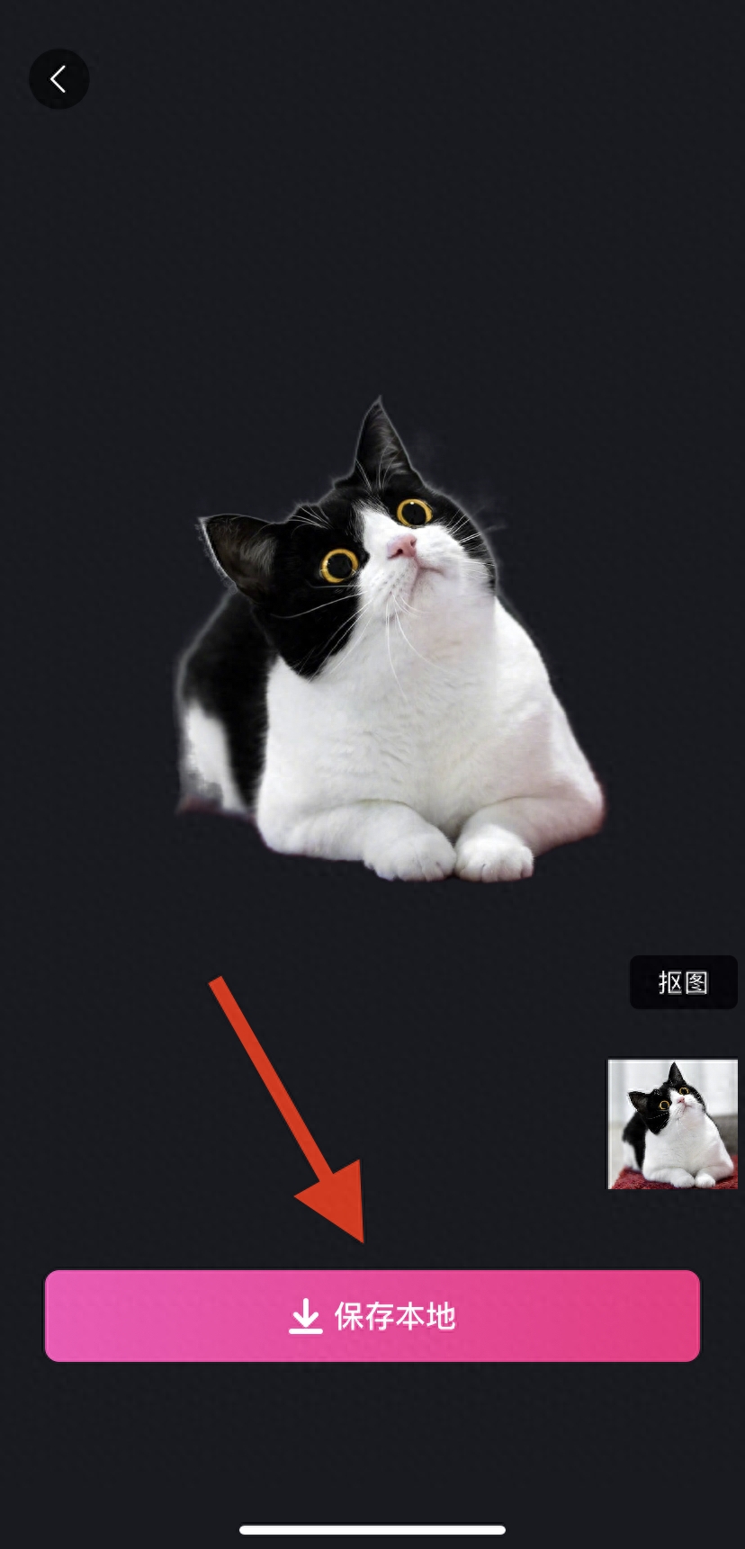 ps摳頭發(fā)絲視頻教程_ps頭發(fā)絲怎么摳干凈_摳頭發(fā)絲ps教程