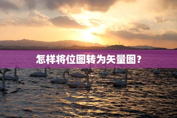 位圖轉矢量圖有哪些方法和技巧？