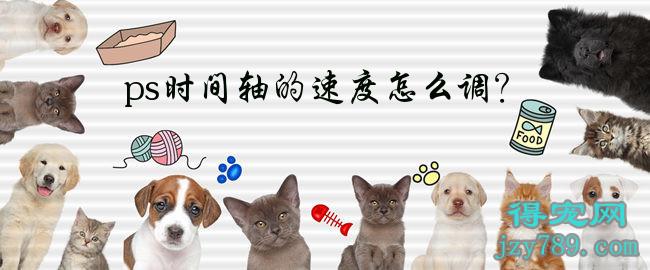 ps時間軸的速度怎么調？(ps時間軸幀速率怎么調)