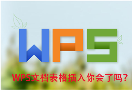 “WPS文檔表格插入”你不知道的事！