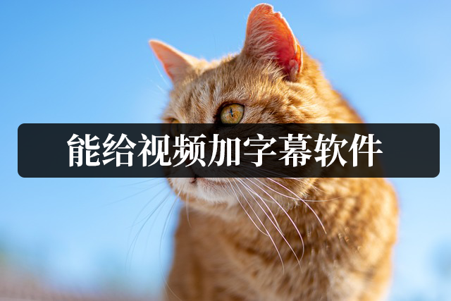 視頻怎么加字幕？這三種簡單易操作的剪輯工