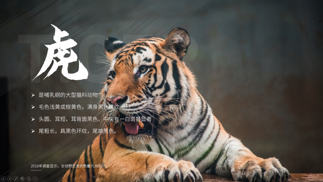 ppt怎么設(shè)置圖片背景_背景圖片設(shè)置為邀請函背景圖_背景圖片設(shè)置為海報背景