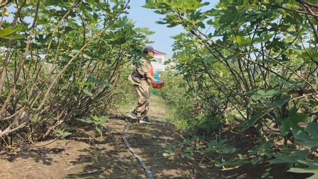 南京學(xué)視頻剪輯_南京短視頻拍攝剪輯培訓(xùn)班_南京視頻剪輯培訓(xùn)機(jī)構(gòu)哪個(gè)好