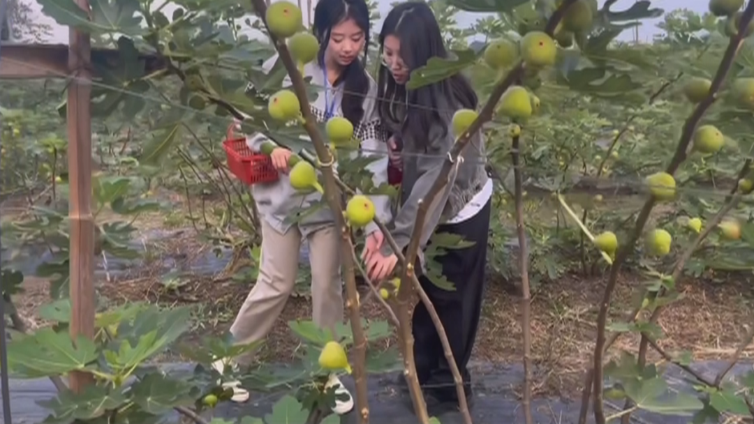 南京視頻剪輯培訓(xùn)機(jī)構(gòu)哪個(gè)好_南京學(xué)視頻剪輯_南京短視頻拍攝剪輯培訓(xùn)班
