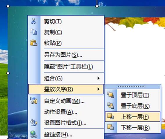 wps移動圖片位置調整_ppt圖片位置怎么調整_圖片位置調整