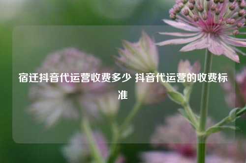 宿遷抖音代運營收費多少 抖音代運營的收費標準