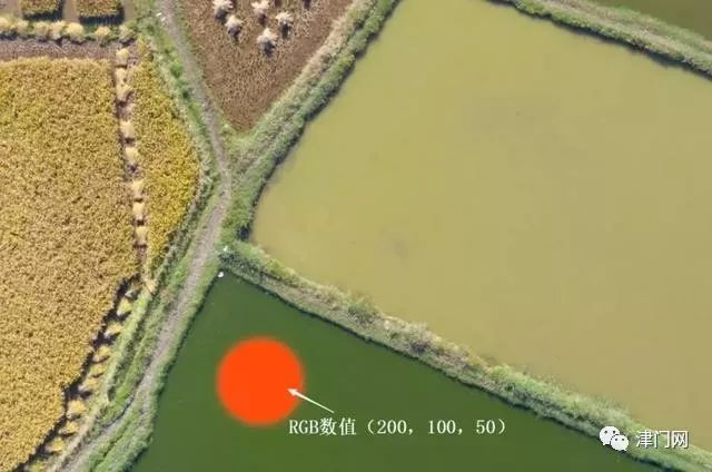 ps怎么只對一個圖層調(diào)曲線_ps曲線調(diào)色如何用單獨(dú)圖層_ps中曲線調(diào)整的作用