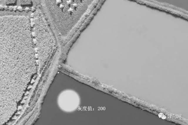 ps怎么只對一個圖層調(diào)曲線_ps曲線調(diào)色如何用單獨(dú)圖層_ps中曲線調(diào)整的作用