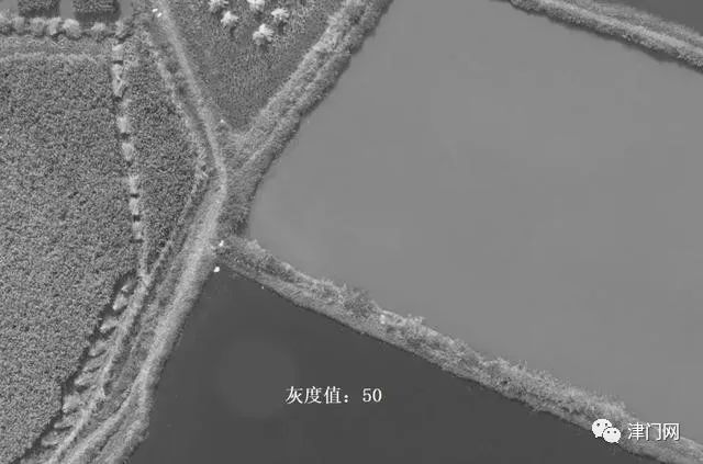 ps曲線調(diào)色如何用單獨(dú)圖層_ps中曲線調(diào)整的作用_ps怎么只對一個圖層調(diào)曲線