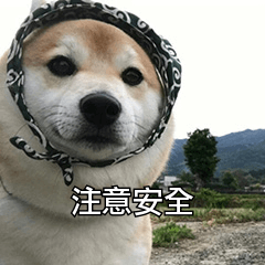 win7哪個(gè)版本好_dnf80版本和70版本誰好_win7系統(tǒng)哪個(gè)品牌版本好