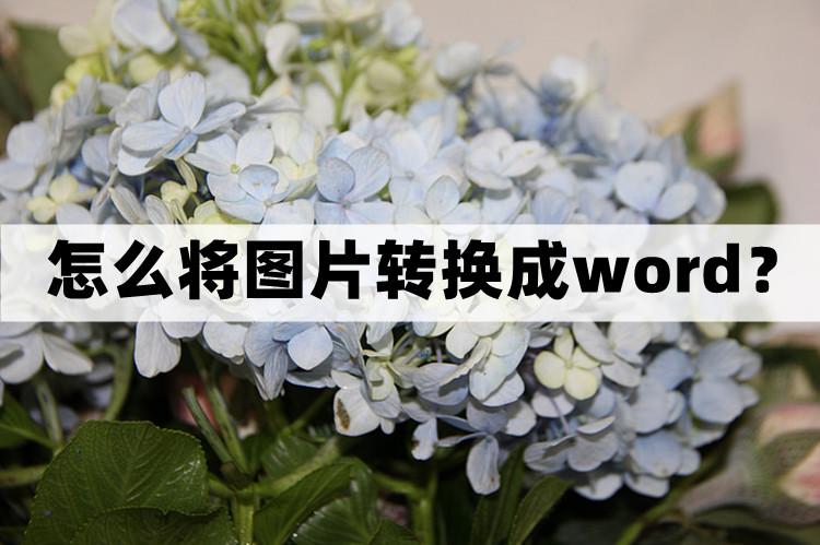 怎么將圖片轉換成word文檔？三個好用的方法分享