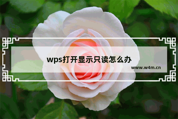 wps打開顯示只讀怎么辦